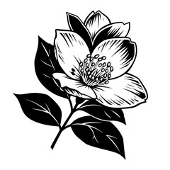 Obraz premium Black and White Flower Illustration Vintage Engraved Floral Vector Isolated on White Background