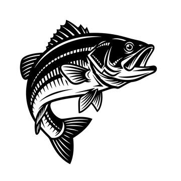 Jumping Bass Fish Black and White Vector Illustration, Detailed Fishing Logo in Vintage Engraving Style