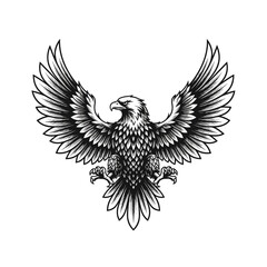 Obraz premium Detailed black and white eagle illustration with open spread wings