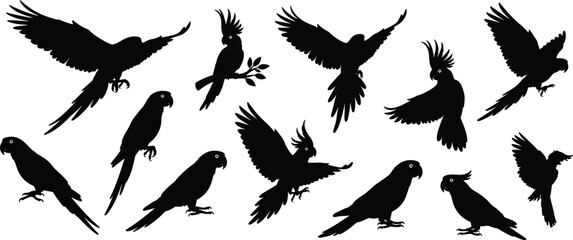 Parrot silhouette collection with cockatoo and macaw birds flying and perching isolated on white background vector illustration for nature crafts, © "Hello"