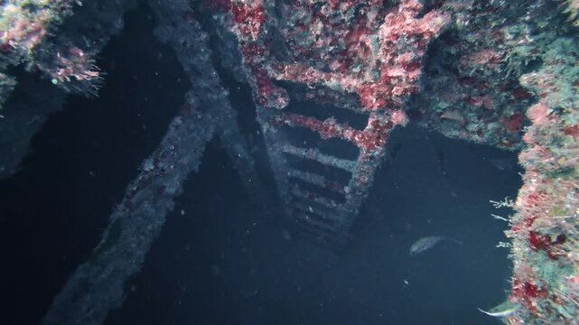 4K Underwater Video of the Wreck Trail Shipwrecks in Jupiter Florida Featuring Marine Life and Artificial Reefs