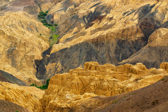 A touch of green trees at Moonland, near Lamayuru, named for its uncanny resemblance to the surface of the Moon. Naturally eroded, soft clay hills giving it a true lunar vibe. Lamayuru, Ladakh, India.