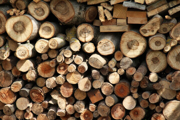 Fototapeta premium Cut and chopped firewood are stacked together