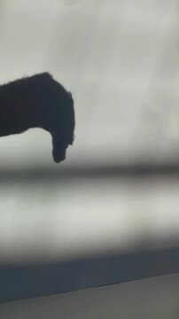 Vertical view of the shadow of a hand rubbing soap.