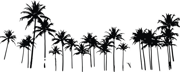 Silhouette of a tropical palm tree forest against a white background