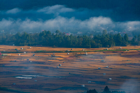 Foggy Morning in Mountains