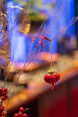 Chinese lantern model hanging on tree branch