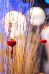 Chinese lantern model hanging on tree branch