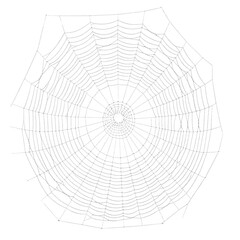 Obraz premium Spider web isolated on black background