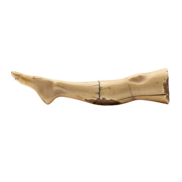 Fragment of whalebone artifact