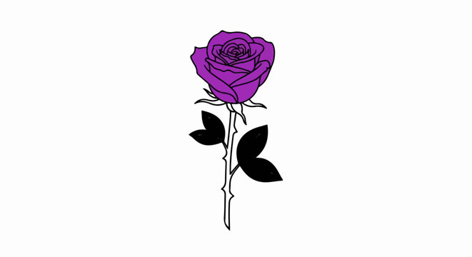 A single purple rose with black leaves and stem stands against a white background