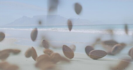 Naklejka premium Showing beach shoreline meeting calm shallow surf with foamy line, horizon silhouette, brown ovals