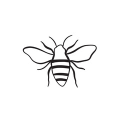 bee on white background