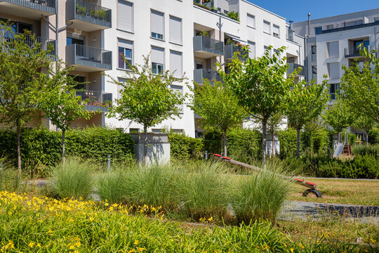 Bright Day in a Residential Area With Green Plants and Flowers in a Garden Space