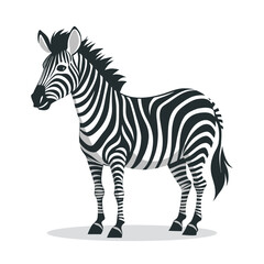 Fototapeta premium Cute zebra standing. Zebra isolated on white background. Illustration.