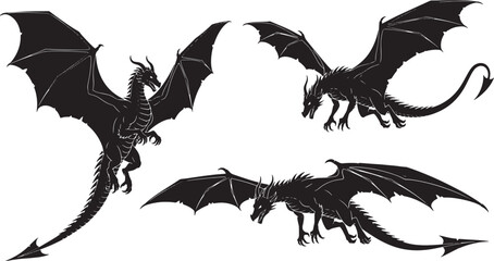 Fototapeta premium Dragons in dynamic poses