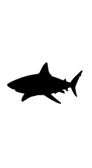 Fototapeta premium Black silhouette of a shark swimming.