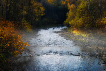 Krajobrazowe nastrojowe zdjęcie górskiej rzeki płynącej przez las podczas zachodu słońca