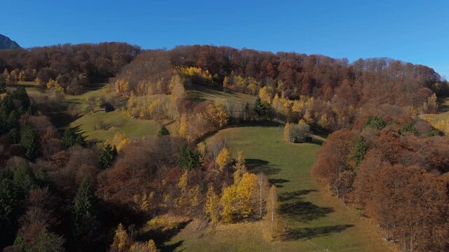 Breathtaking Rustic Transylvanian Autumn Landscape and Mixed Forest Early Morning Sunny Poiana Marului Cinematic Aerial Orbit Drone Shot 4K Graded
