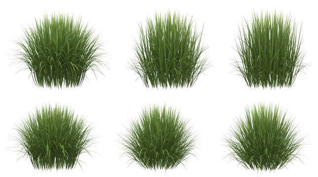 Six realistic green grass clumps and bushy plants with detailed foliage isolated for landscaping designs