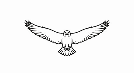 Obraz premium Stylized black outline drawing of a bird of prey in flight