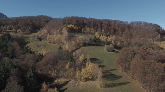 Breathtaking Rustic Transylvanian Autumn Landscape and Mixed Forest Early Morning Sunny Poiana Marului Cinematic Aerial Orbit Drone Shot 4K Ungraded Log