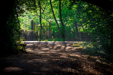 Malownicza, słoneczna ścieżka w zielonym parku lub lesie. Drewniany płot i ławki w tle, promienie słońca przebijające przez gęste korony drzew. Atmosfera spokoju i letniego wypoczynku. © Henryk Niestrój