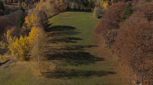 Traditional Haystacks and Autumn Tree Shadows on Rustic Meadow Sunny Poiana Marului Cinematic Pull Back Drone Shot 4K Graded