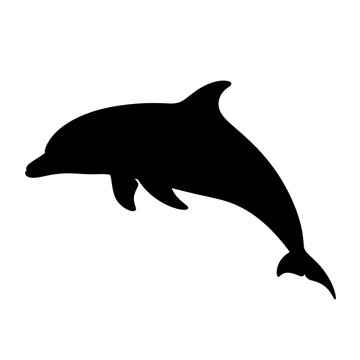 Black dolphin silhouette swimming ocean.
