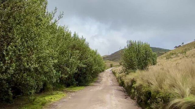 Riding Through the Grasslands of the Andes Mountains (Quito, Ecuador)