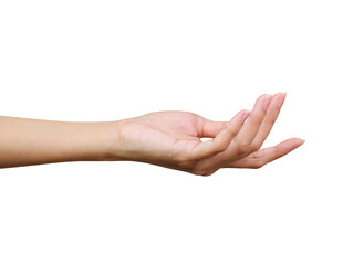 Open female hand with palm up on a white background
