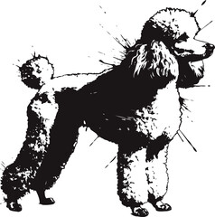 elegant poodle silhouette with artistic ink splatter effect in black and white design