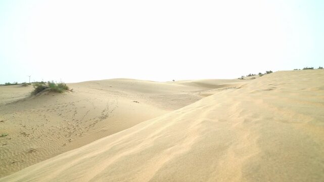 Expansive golden sand dunes under bright sky in Thar Desert, Rajasthan, India, showcasing vast arid landscape.
