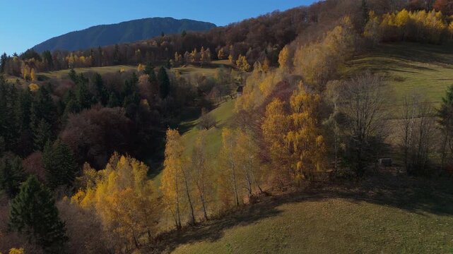 Breathtaking Autumn Mixed Forest and Hidden Wooden Barns Sunny Poiana Marului Piatra Craiului Mountains Cinematic Rising Drone Shot 4K Graded