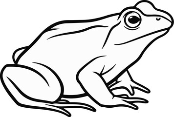 Naklejka premium A black and white line drawing of a frog with its body to the left, facing right