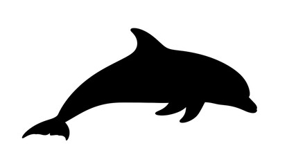 Obraz premium Black silhouette of a dolphin swimming.