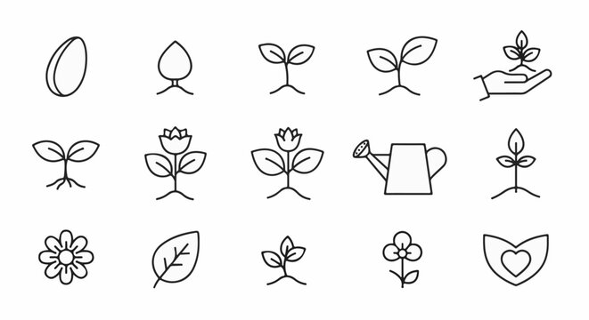 Iconography depicts stages of plant growth and care, from seed to blooming flower