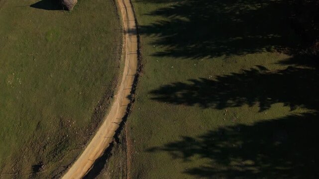 Minimalist Long Tree Shadows and Traditional Haystacks on Rustic Green Meadow Cinematic Top Down Spinning Drone Shot 4K Graded