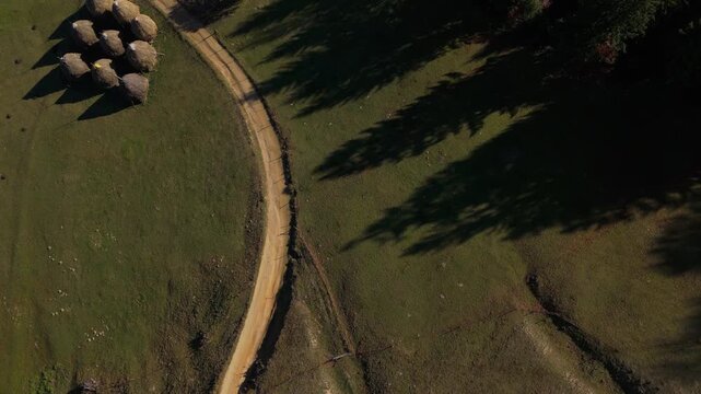 Minimalist Long Tree Shadows and Haystacks on Meadow Sunny Poiana Marului Cinematic Top Down Rising Drone Shot 4K Graded