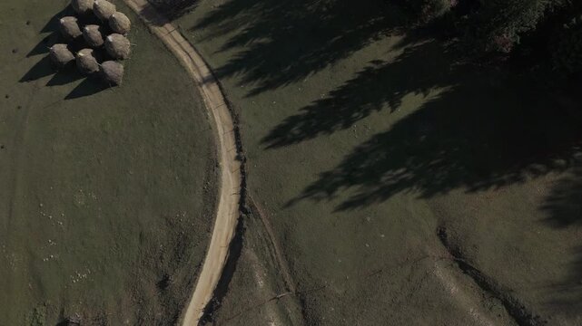 Minimalist Long Tree Shadows and Haystacks on Meadow Sunny Poiana Marului Cinematic Top Down Rising Drone Shot 4K Ungraded Log