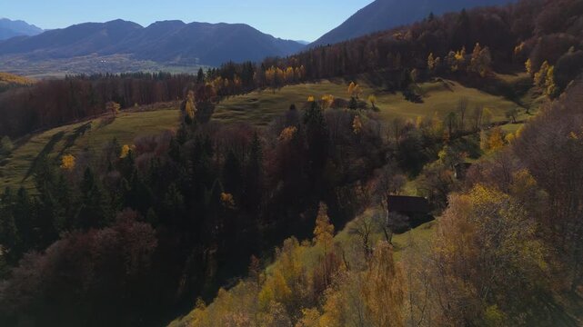 Sunny Autumn Forest and Rustic Farmhouses on Rolling Hills Cinematic Slow Aerial Flight 4K Graded