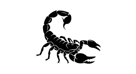 scorpion silhouette, black scorpion on white background