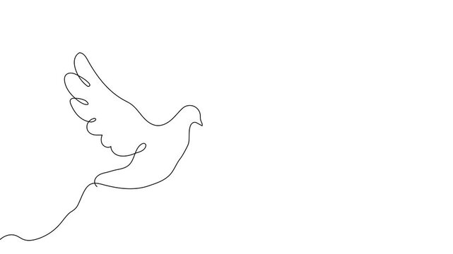 Line bird dove art peace hope pigeon freedom icon outline. Hand line bird dove vector white angel animal fly continuous sketch easter doodle wing illustration wedding stroke background free logo loved