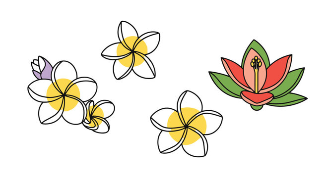 Tiare Flower Line minimal elegant color illustration