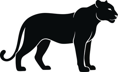 Obraz premium A black panther silhouette standing on a white background