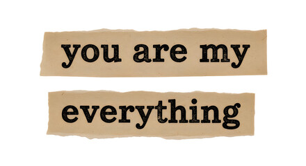 A sentimental phrase on torn paper strips