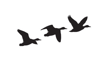 Obraz premium Geese flying silhouettes with three wild birds in flight, black vector shapes isolated on white background, migration concept