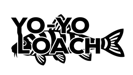 Yo-Yo Loach Fish Graphic Design with Bold Text and Stripes