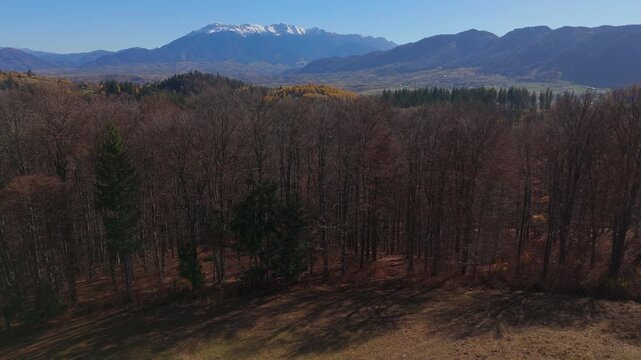 Breathtaking Panoramic Late Autumn Landscape with Snow Capped Bucegi Mountains over Serene Poiana Marului Cinematic Ascending Aerial Reveal 4K Graded