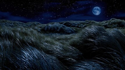 Starry winter night over rolling grass dunes under bright full moon. Deep blue sky filled with stars above windswept landscape. Matariki concept and Māori New Year